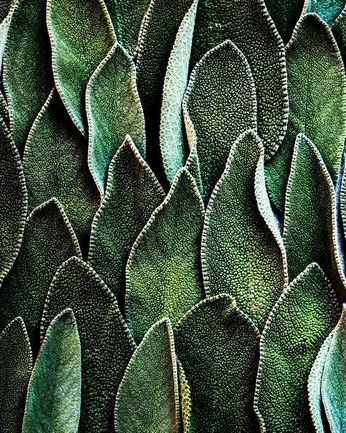 A cover of "texture" cluster. The owner is brynnahamm. The cluster consists of 18 elements.