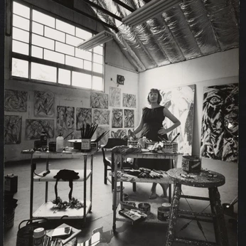 A cover of "artista voz absurda" cluster. The owner is meduardaboabaid. The cluster consists of 18 elements.