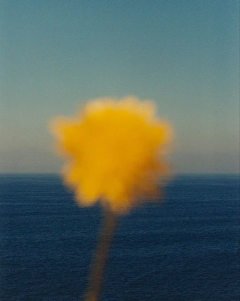 A cover of "*****" cluster. The owner is maria.jover. The cluster consists of 20 elements.