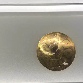 A cover of "artifact" cluster. The owner is timory. The cluster consists of 7 elements.