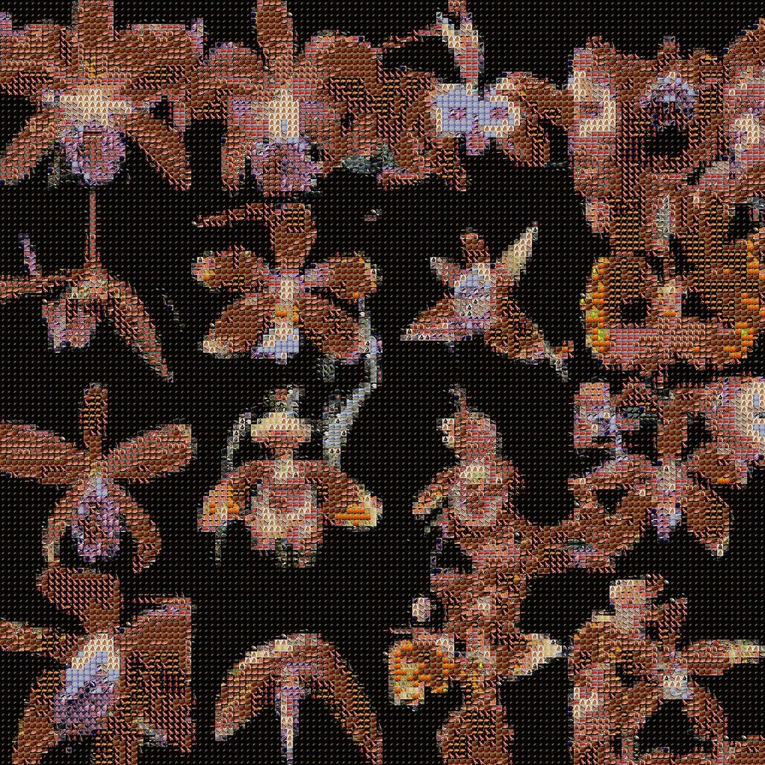 An Instagram carousel post added by backpainbaby on Sep 10, 2023. The author is @sofiacrespo.