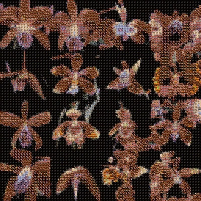 An Instagram carousel post added by backpainbaby on Sep 10, 2023. The author is @sofiacrespo.