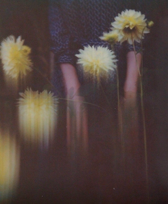 A cover of "BLUE PEARL" cluster. The owner is rosannatg. The cluster consists of 12 elements.