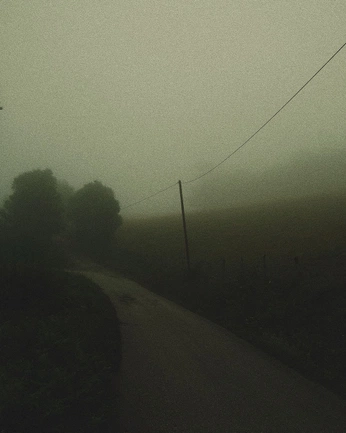 A cover of "pavimento" cluster. The owner is minasaikoarigato. The cluster consists of 24 elements.