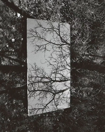 A cover of "noche azul" cluster. The owner is carlyjframes. The cluster consists of 1 element.