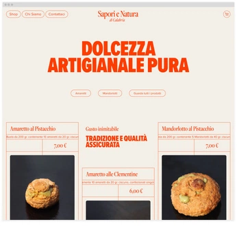 A cover of "Websites" cluster. The owner is pin. The cluster consists of 1 element.