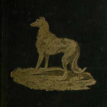 A cover of "Novelties" cluster. The owner is ashleng. The cluster consists of 7 elements.