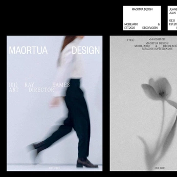 A cover of "Design (2025)" cluster. The owner is maitekinupp. The cluster consists of 20 elements.