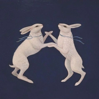 A cover of "disco" cluster. The owner is campa. The cluster consists of 432 elements.