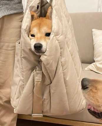 A cover of "Pets" cluster. The owner is blueraspberry. The cluster consists of 18 elements.