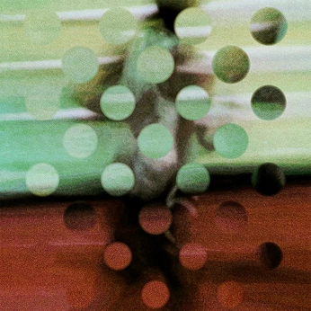 A cover of "Altered" cluster. The owner is twerkus. The cluster consists of 49 elements.