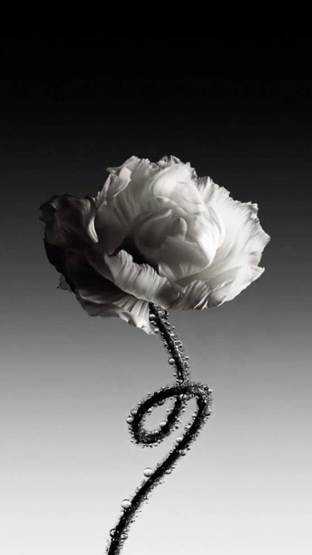 A cover of "SEPTEMBER_2024" cluster. The owner is james.t. The cluster consists of 10 elements.