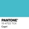 Cover of Pantone, Ca... cluster