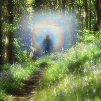 A cover of "idea J" cluster. The owner is pand.ulcesito. The cluster consists of 38 elements.