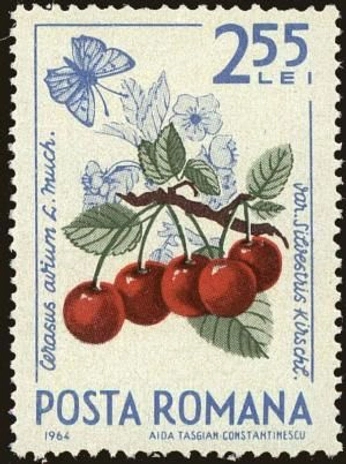 A cover of "Stamps" cluster. The owner is annaimeltchouk. The cluster consists of 10 elements.