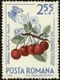 Cover of Stamps cluster