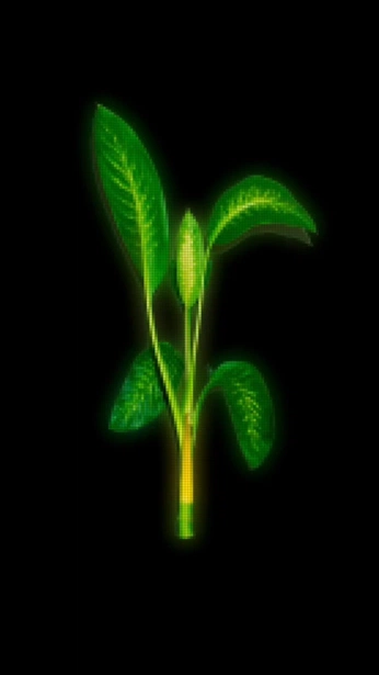 A cover of "tutorial" cluster. The owner is bl1the. The cluster consists of 1 element.