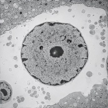 A cover of "Abstrate" cluster. The owner is accue. The cluster consists of 1 element.