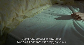 A cover of "film" cluster. The owner is kaileewelp. The cluster consists of 1 element.