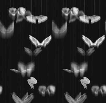 A cover of "print" cluster. The owner is lolipopdan. The cluster consists of 2 elements.