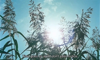 A cover of "i felt that somehow" cluster. The owner is viltee. The cluster consists of 26 elements.