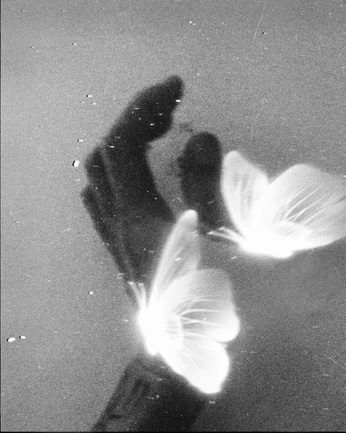 A cover of "Photo Ideas" cluster. The owner is mntcr. The cluster consists of 1 element.