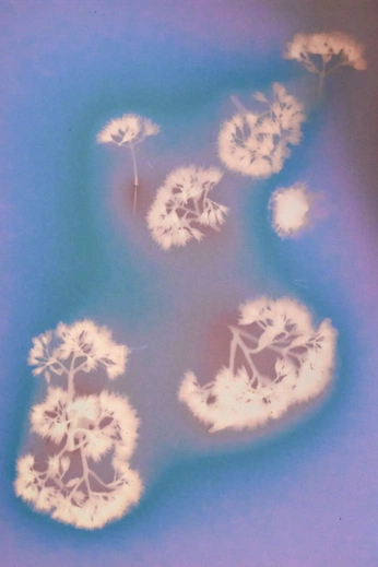 A cover of "RADIANCE" cluster. The owner is sakysaky. The cluster description is ".". The cluster consists of 6 elements.