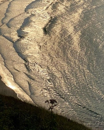 A cover of "Brand Vision" cluster. The owner is garrettmaynrd. The cluster consists of 62 elements.