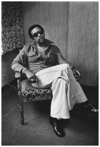 A cover of "iconic photos" cluster. The owner is capsboutique. The cluster consists of 14 elements.