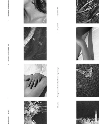 A cover of "Editorial" cluster. The owner is mynameisdna. The cluster consists of 27 elements.