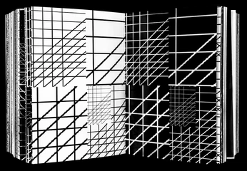 A cover of "Graphics" cluster. The owner is nina.fink. The cluster consists of 4 elements.