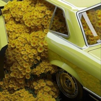 A cover of "aesthetic" cluster. The owner is jennafv. The cluster consists of 30 elements.