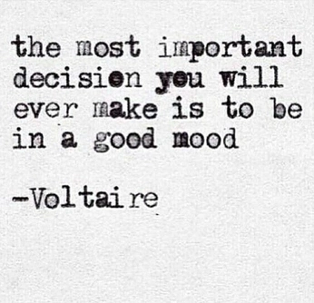 A cover of "Text" cluster. The owner is phste. The cluster consists of 2 elements.