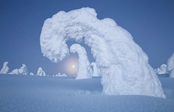 A cover of "AI inspo" cluster. The owner is ciaopescao. The cluster consists of 17 elements.