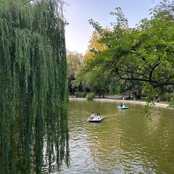 A cover of "𝒓𝒐𝒎𝒂𝒏𝒊𝒂.☘︎ ݁˖" cluster. The owner is starzzxq. The cluster consists of 31 elements.