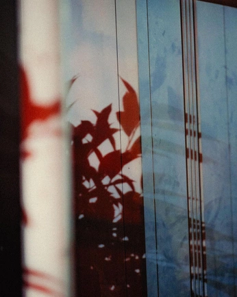 A cover of "Photos" cluster. The owner is angelabec. The cluster consists of 1 element.