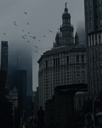 A cover of "cool places" cluster. The owner is shinichi. The cluster consists of 2 elements.