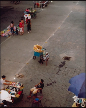 A cover of "AORA" cluster. The owner is daliaurzuastudio. The cluster consists of 65 elements.