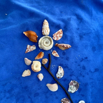 A cover of "real" cluster. The owner is palomawanders. The cluster consists of 27 elements.