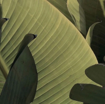 A cover of "Filler" cluster. The owner is chelseajane. The cluster consists of 216 elements.