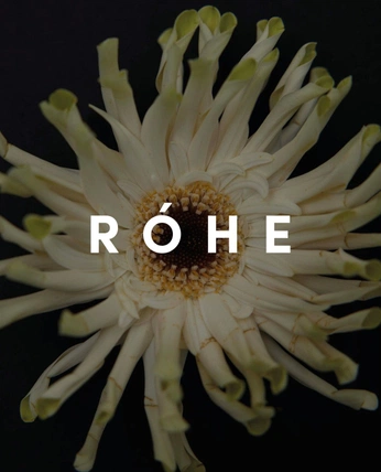 A cover of "logo design" cluster. The owner is victoria2005. The cluster consists of 17 elements.