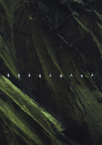 A cover of "Wallpaper" cluster. The owner is robrta. The cluster consists of 1 element.