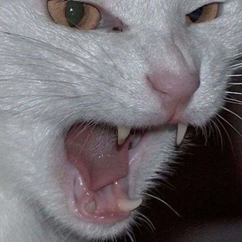 A cover of "moodboard no.1" cluster. The owner is godsentjackal. The cluster consists of 141 elements.