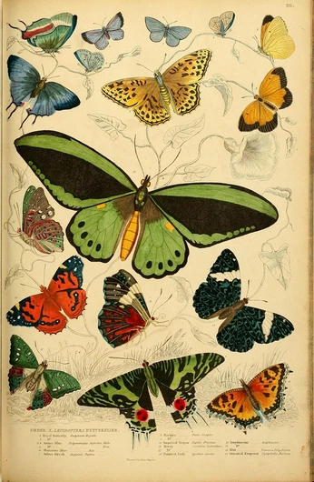 A cover of "Biodiversity" cluster. The owner is serickson. The cluster consists of 23 elements.