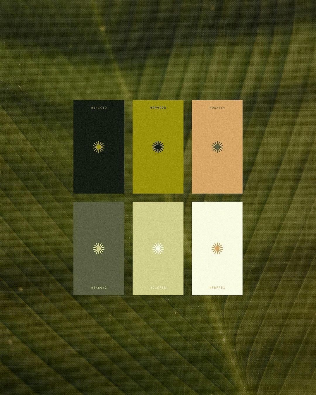 An Instagram carousel post added by 6 on Oct 31, 2024. The author is @designerbriefs.