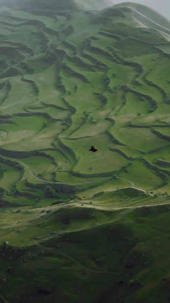 A cover of "Video" cluster. The owner is higherworlds. The cluster consists of 90 elements.