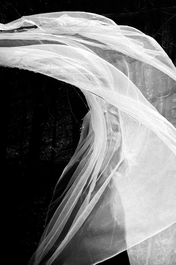 A cover of "my work" cluster. The owner is kaileewelp. The cluster consists of 113 elements.