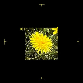 A cover of "TEXTURE ARCHIVES" cluster. The owner is esaierosa. The cluster consists of 12 elements.