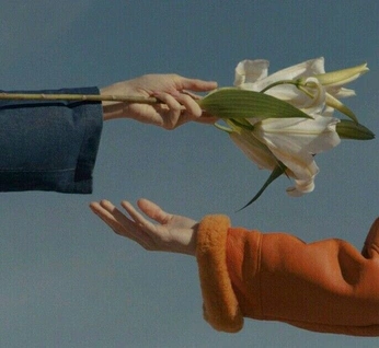 A cover of "flowers" cluster. The owner is yahiro. The cluster consists of 29 elements.