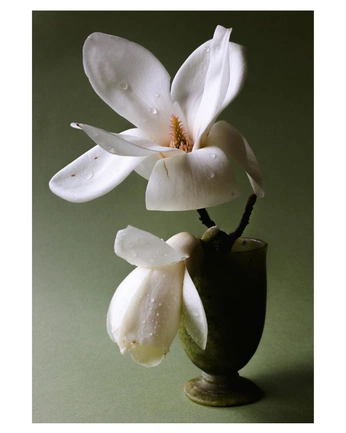 A cover of "MOUNTAIN HOUSE I" cluster. The owner is greenvelvet. The cluster consists of 14 elements.